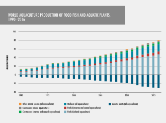 World aquaculture production of food fish and aquatic plants, 1990–2016