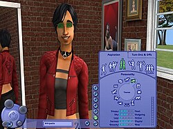 Create-a-Sim tool in The Sims 2