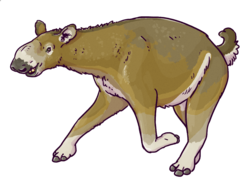 Reconstruction of Macrauchenia, a member of the extinct order Litopterna
