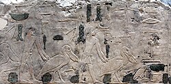 Breeding pelicans. Wall fragment from the Sun Temple of Nyuserre Ini at Abu Gurob, Egypt. c. 2430 BCE. Neues Museum, Berlin