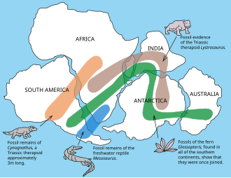 Schematic distribution of fossils on Pangea according to Wegener