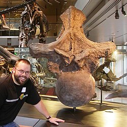 Argentinosaurus dorsal and sauropod paleontologist Matt Wedel