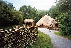 Reconstruction of a Neolithic farmstead, Irish National Heritage Park. The Neolithic saw the invention of agriculture.
