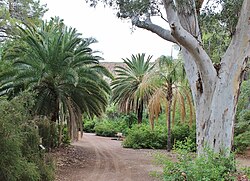 Boyce Thompson Arboretum, Superior, Arizona