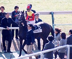 El Condor Pasa, winner the 1998 Japan Cup, at his retirement ceremony in November 1999. Some of the racecourse's staff can be seen nearby helping navigate him.