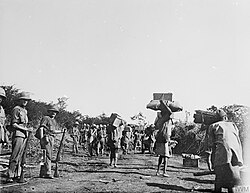 African porters in European service suffered high rates of casualties from disease