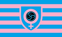 Femdom flag in the Leather subculture