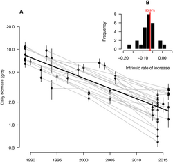 An annual decline of 5.2% in flying insect biomass found in nature reserves in Germany – about 75% loss in 26 years[65]
