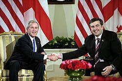 U.S. President George W. Bush and Saakashvili meet in Tbilisi on 10 May 2005.