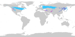 Regions with warm-summer humid continental climates as of 1991-2020, using the −3 °C (27 °F) threshold for the coldest month. Dfb Dwb Dsb