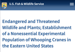 Whooping Crane experimental population authorized in 2001.[276]