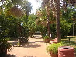 Greenery at Alexandria Zoo