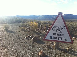A warning sign in Afrikaans: Gevaar Slagysters!, "Danger, Traps!"