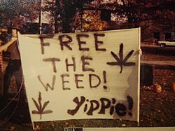 Weed, a commonly used slang name for cannabis, written on a banner at a Yippie smoke-in in Ohio in 1978