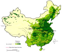 Northern regions often cultivate wheat, while rice is more prevalent in the south