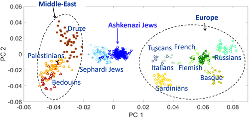 A PCA plot of samples from Ashkenazi and other Jewish populations, as well as HGDP's Middle Eastern and European populations.[5]
