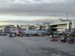 American Airlines planes at Concourse D in January 2026