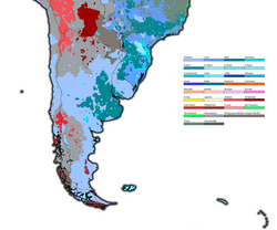 Ethnoracial map of the Southern Cone and surroundings.