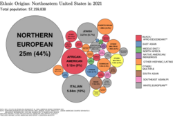 Ethnic origins in the Northeast