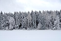 Snowy landscape on Swabian alps (2019)