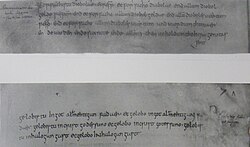 The Utrecht baptismal vow