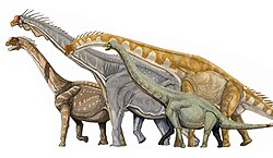 Several macronarian sauropods; from left to right, Camarasaurus, Brachiosaurus, Giraffatitan, and Euhelopus.