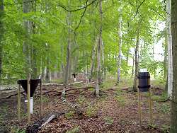 Litterfall and throughfall collectors at beech stand in Thetford, East Anglia[27]