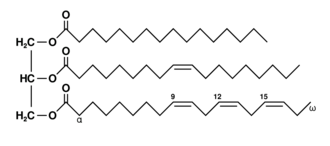Example of an unsaturated fat triglyceride (C55H98O6). Left part: glycerol; right part, from top to bottom: palmitic acid, oleic acid, alpha-linolenic acid.