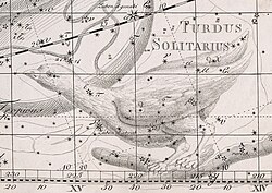 The former constellation Turdus Solitarius was named after the Rodrigues solitaire, here depicted in Uranographia by Johann Elert Bode, 1801