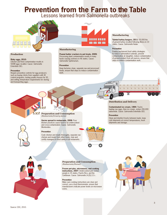 An infographic illustrating how Salmonella bacteria spread from the farm