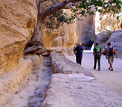 Nabataean aqueduct in Petra, Jordan