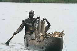Fishing in the Sudd Wetland, one of the largest wetlands in the world