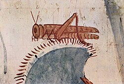 Locust detail from a hunt mural in the grave-chamber of Horemhab, Ancient Egypt, 1422–1411 BC