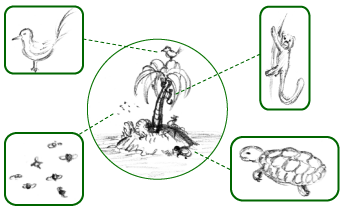 Simplified schematic of an island's fauna – all its animal species, highlighted in boxes