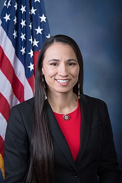 Sharice Davids became one of the first two Native American women elected to the U.S. House of Representatives.