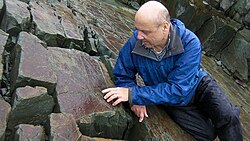 Palaeontologist Guy Narbonne examining Ediacaran fossils in Newfoundland