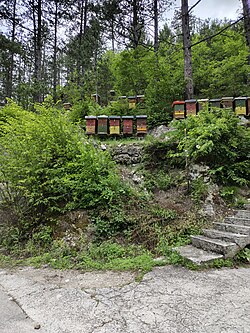 Beehives in the mountains of Bosnia
