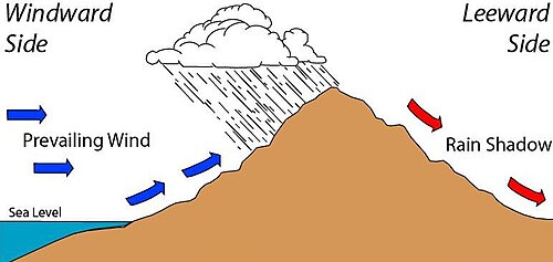 Effect of a rain shadow